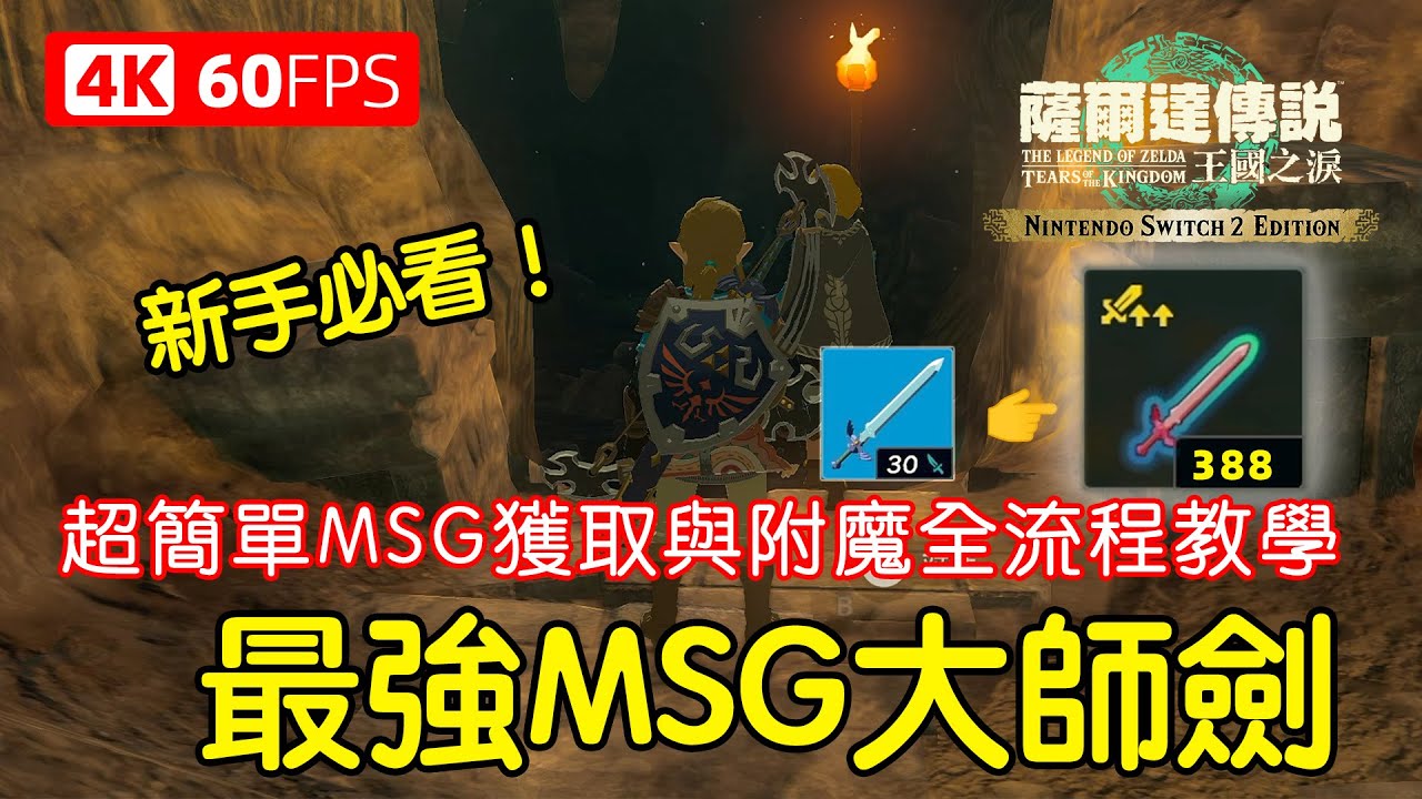最高攻擊388！超簡單新手MSG獲取與附魔全流程教學～【Switch 2 王國之淚 加強版】