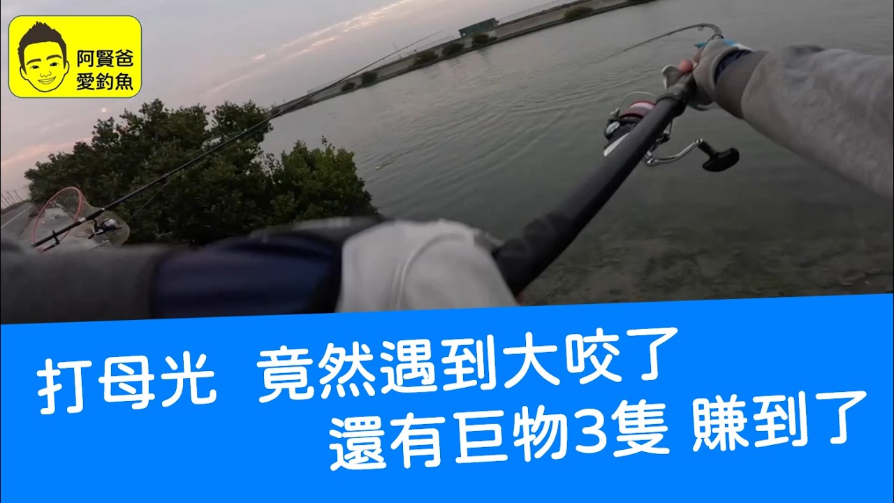 【阿賢爸】愛釣魚 Ep.535 打母光  竟然遇到大咬了  還有巨物3隻 賺到了