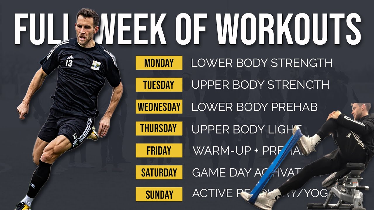 My COMPLETE Weekly Gym Routine during Season