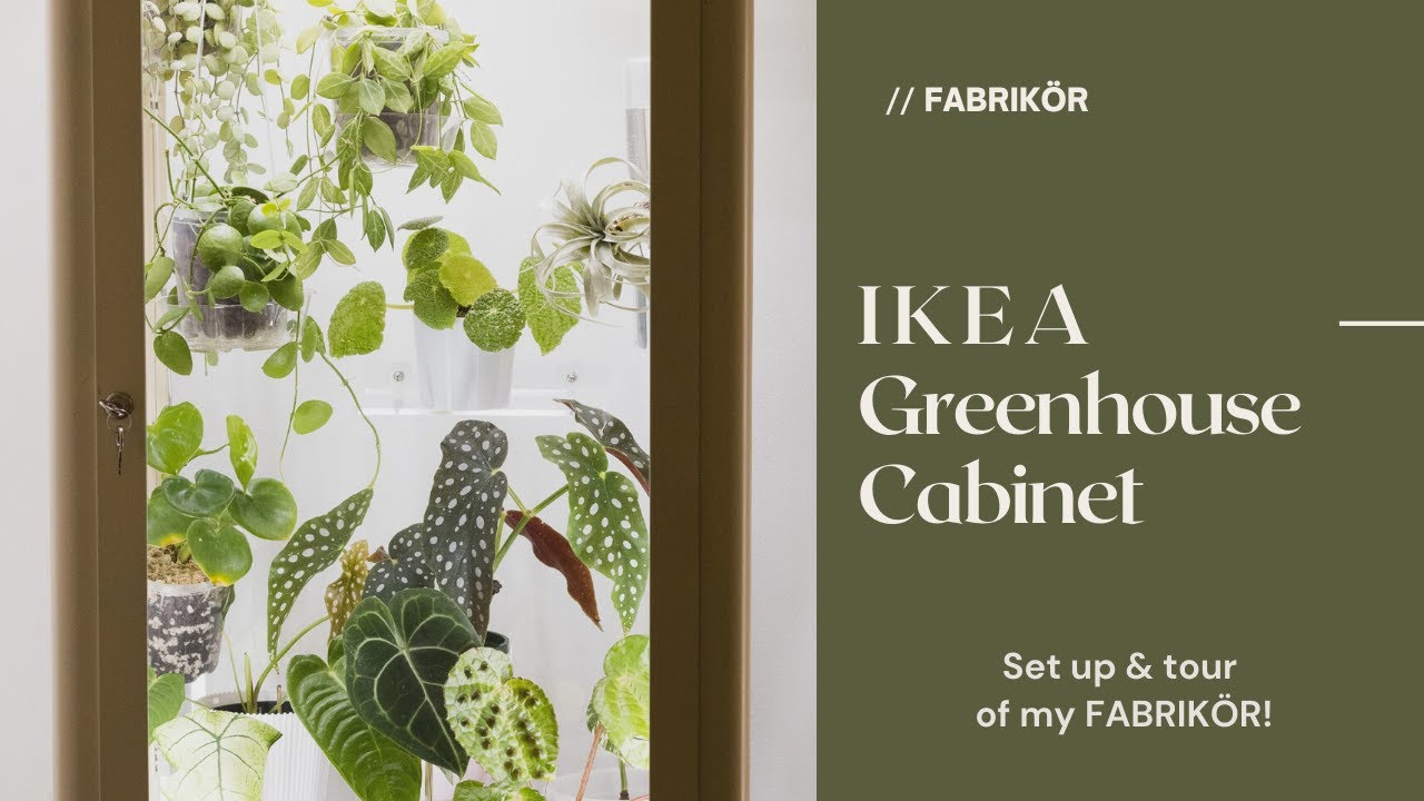 IKEA Greenhouse Cabinet + details of my Fabrikor & a plant tour! Keep tropicals alive through winter