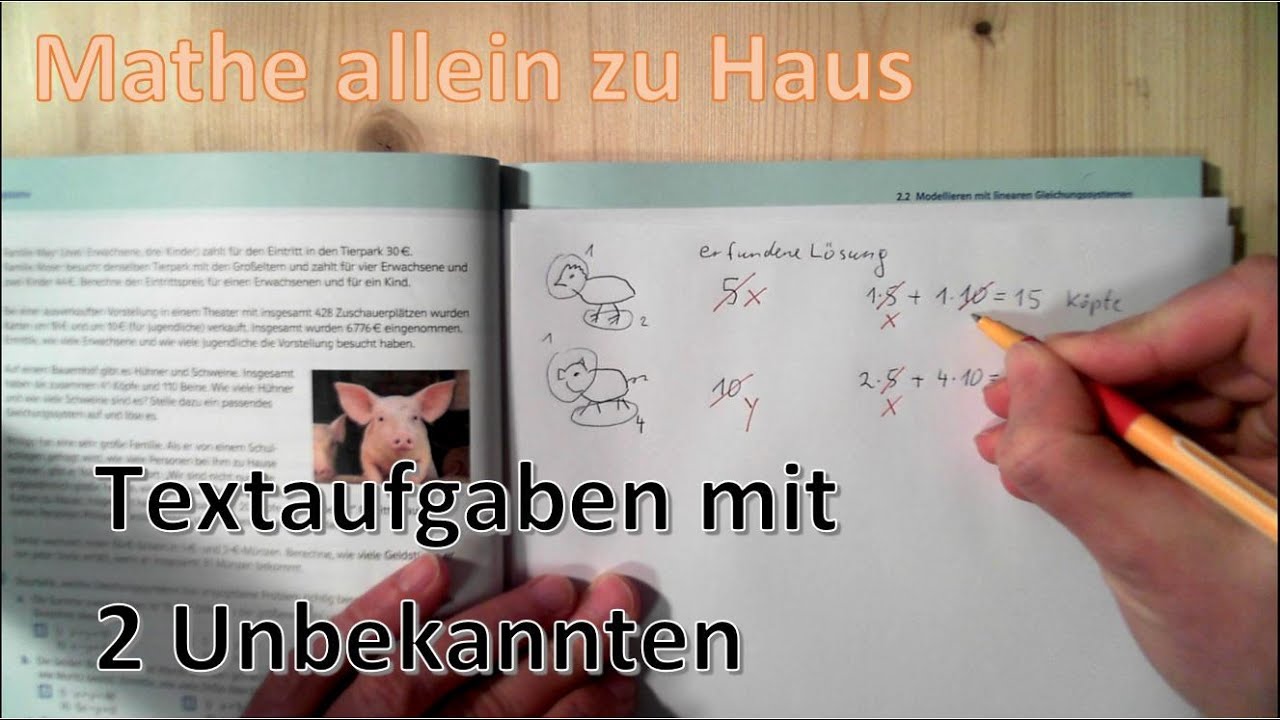 Textaufgaben mit 2 Unbekannten