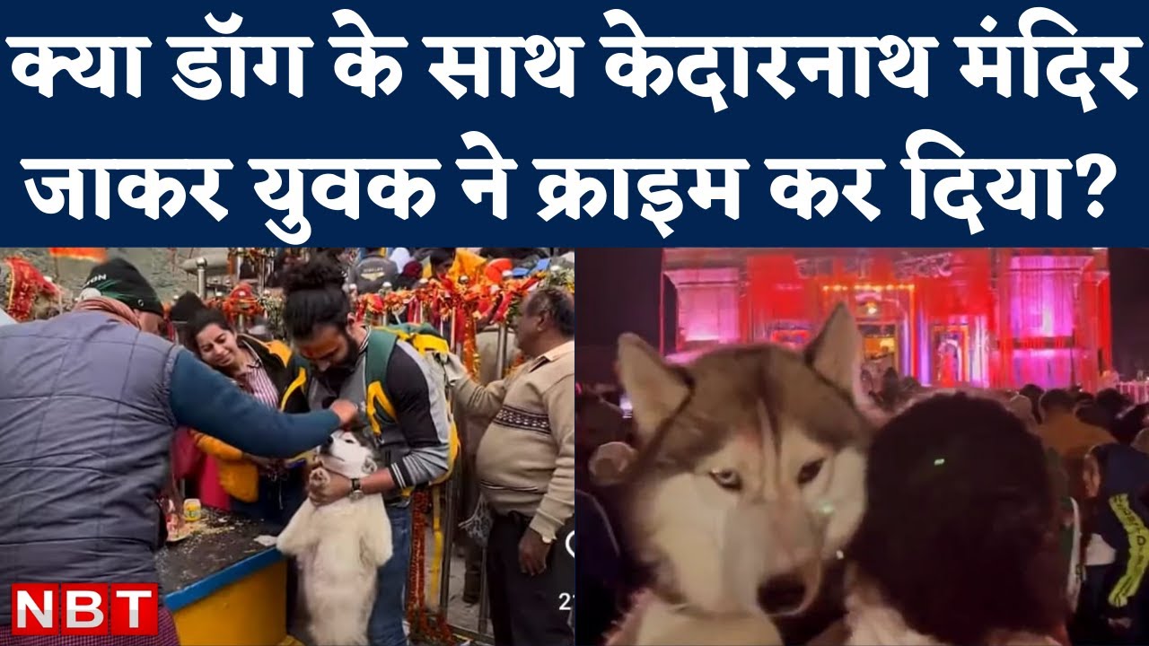 Kedarnath Darshan के लिए Pet Dog को साथ लाए Vikash Tyagi पर Action के निर्देश, Social Media पर बहस