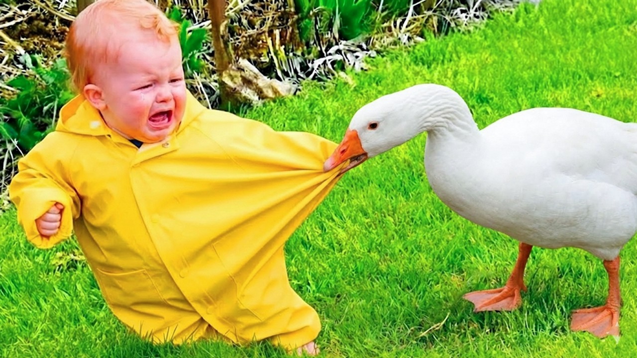 Try Not To Laugh: Babies Meet Farm Animals 🤣 Funny Baby Videos