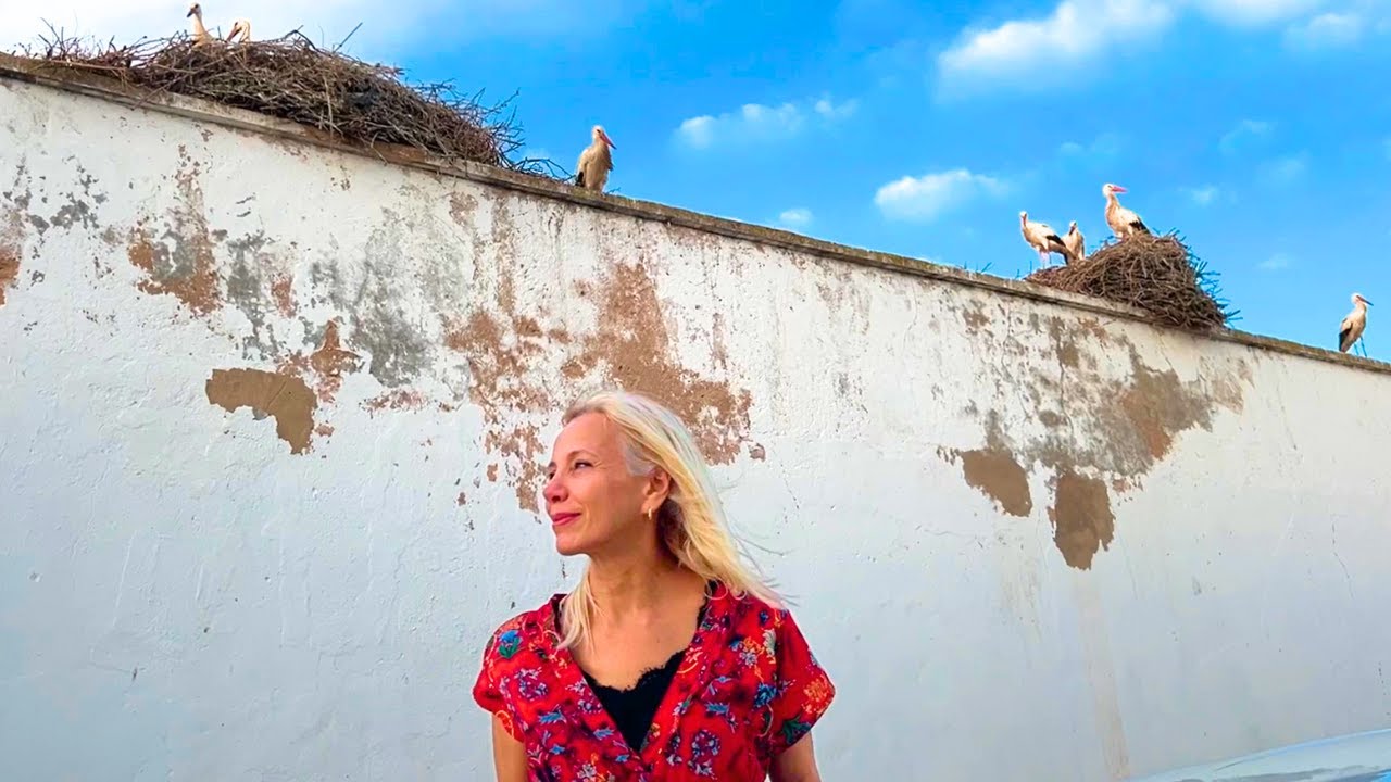 How to Be HAPPY Living ALONE in Your 50s