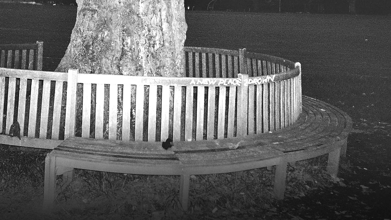 Archy Marshall - Swell