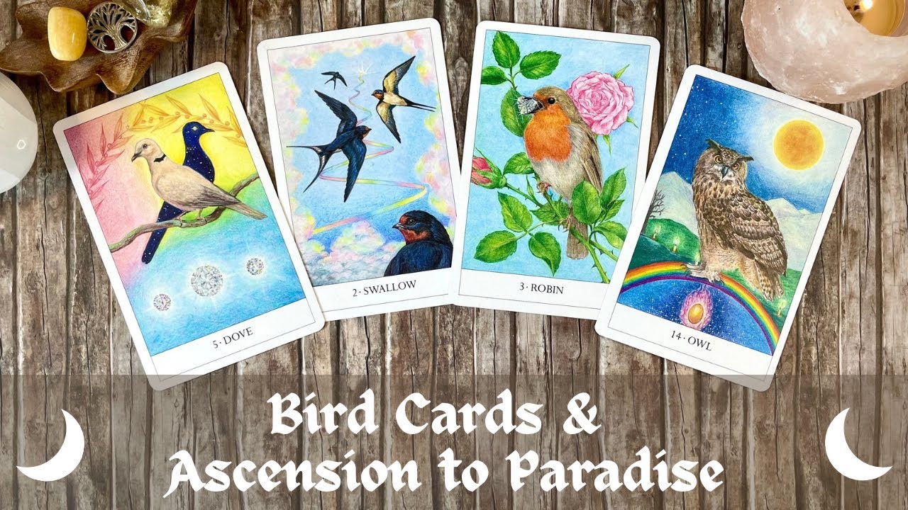 Be still my little bird-loving heart! | Bird Cards & Ascension to Paradise Cards | Walkthrough