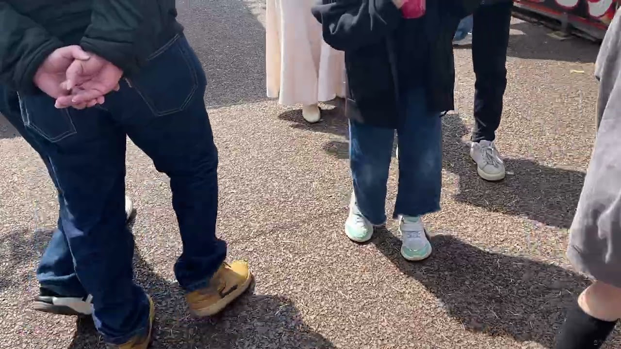 Festival Bunga Sakura 🌸 di Jepang 🇯🇵 