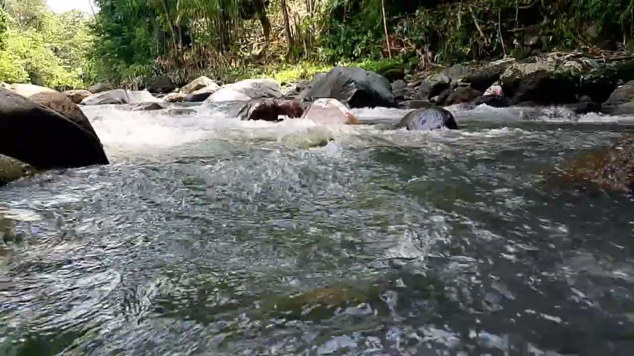 The sound of flowing water is perfect for calming the mind and relaxing  #river #riversounds #foryou