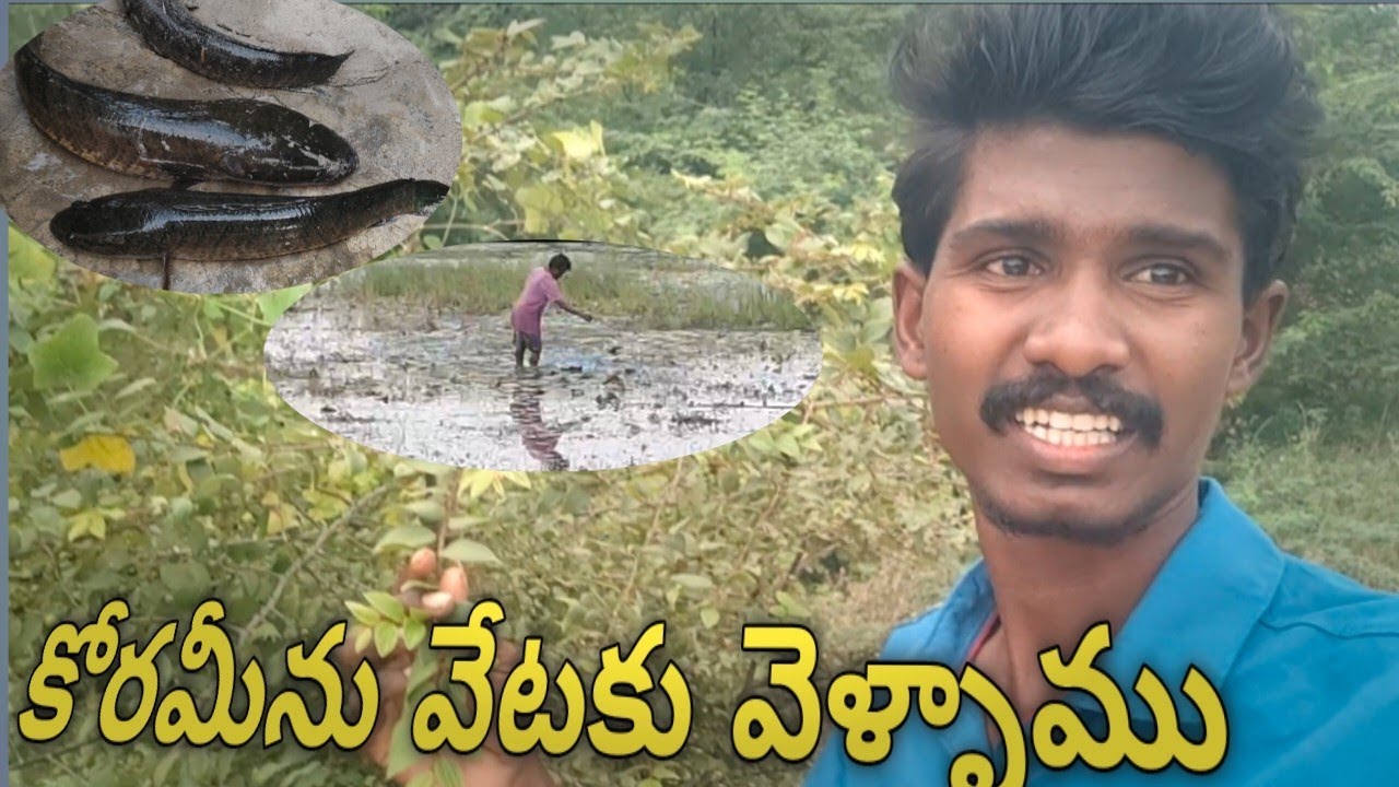కోరమీను చెప్పాల్ని ఎలా పట్టాలి ll How to fish hunting in telugu ll 