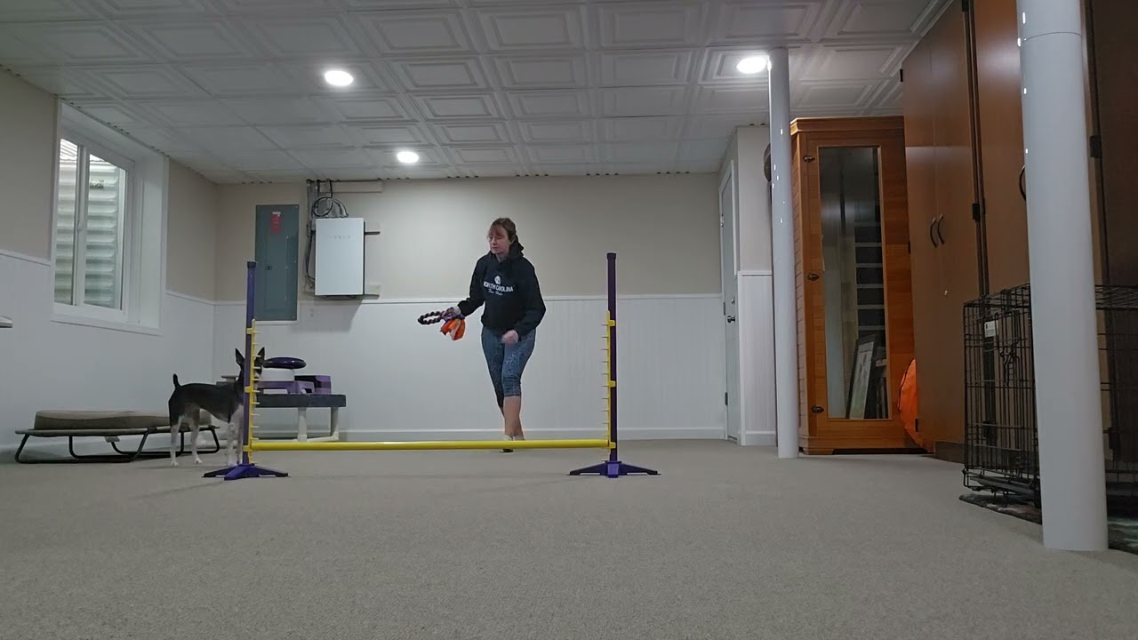 2/6 wraps with tug 