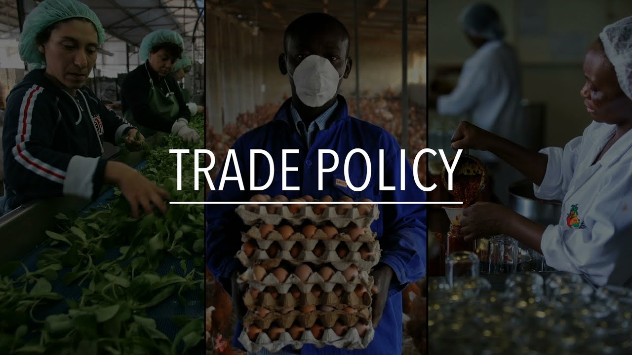 FAO Policy Series: Trade policy