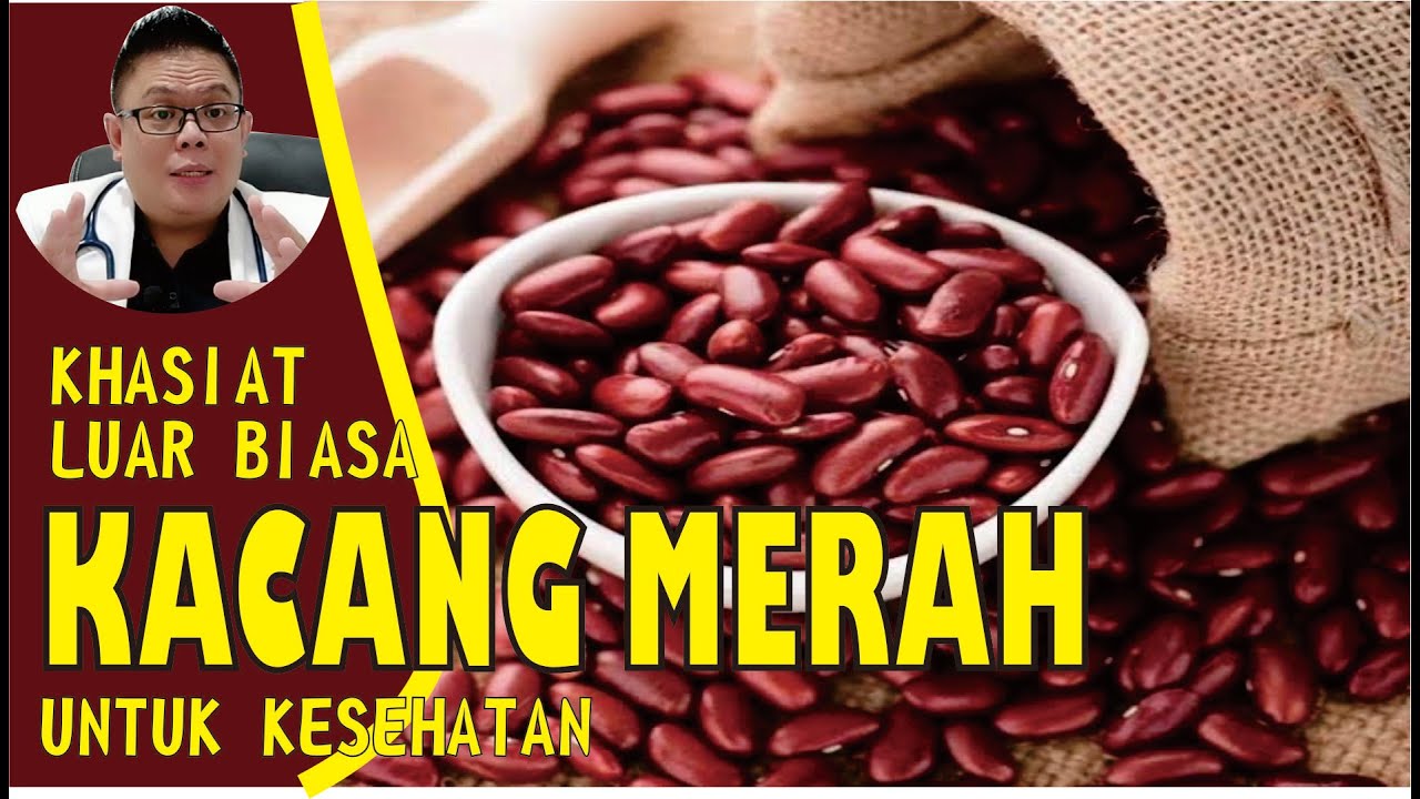 KHASIAT KACANG MERAH UNTUK KESEHATAN