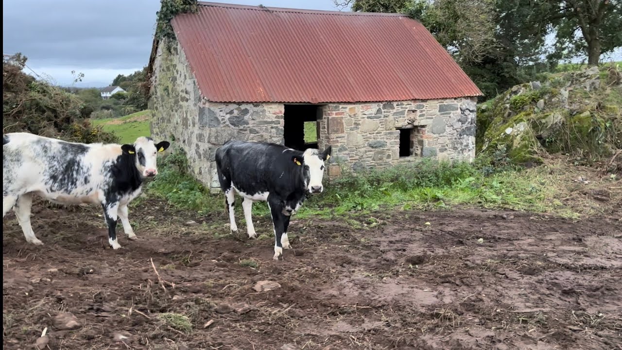 Irish Cottage that has survived 200 Winters