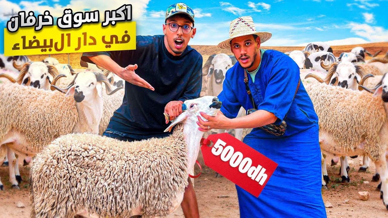 وأخيرا مشينا لأكبر سوق خرفان في مدينة الدارالبيضاء 🐏😱لحجوجي تخلع بثمن🔥💔