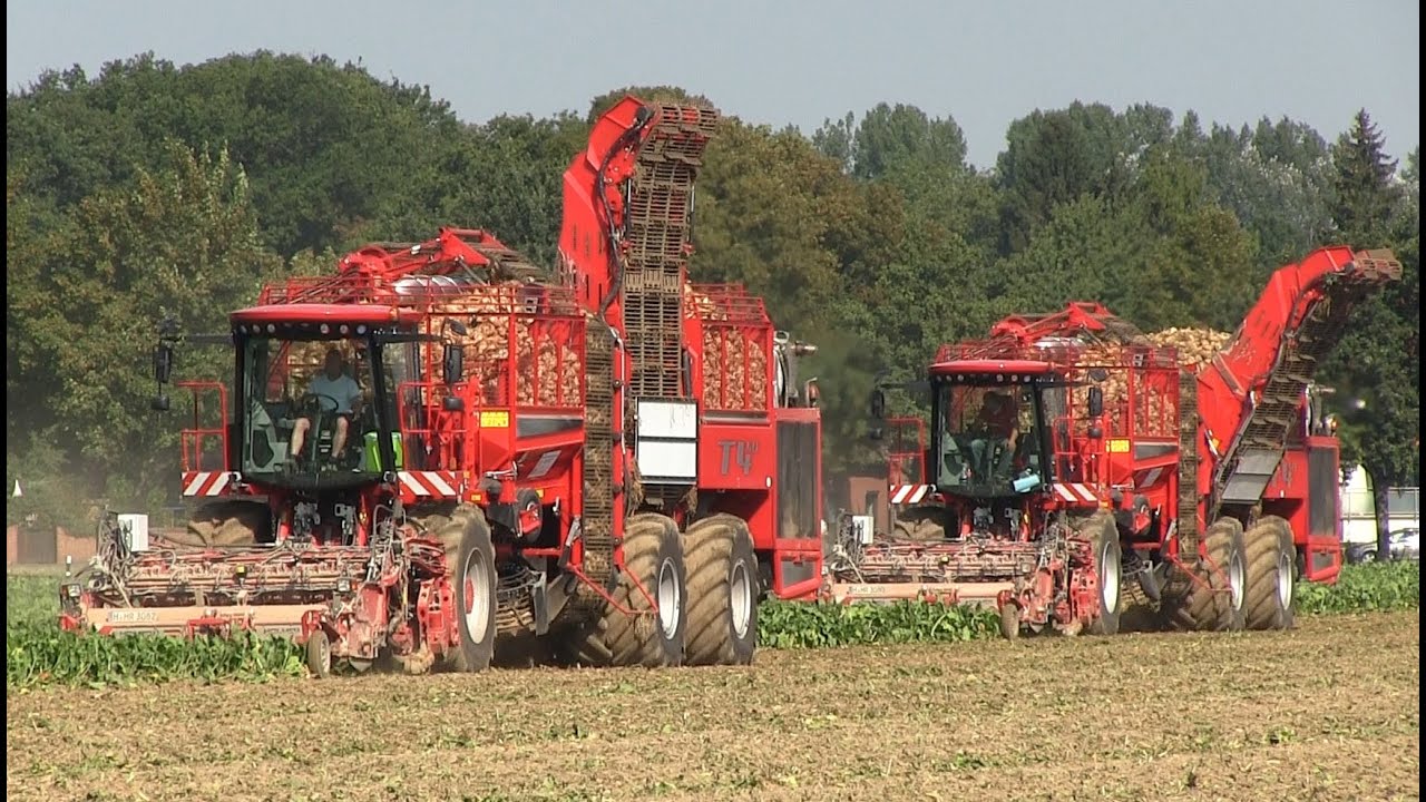 2x Holmer Terra Dos T4-40 R&uuml;benroder | Zuckerr&uuml;benernte 2016 | beet harvest 2016