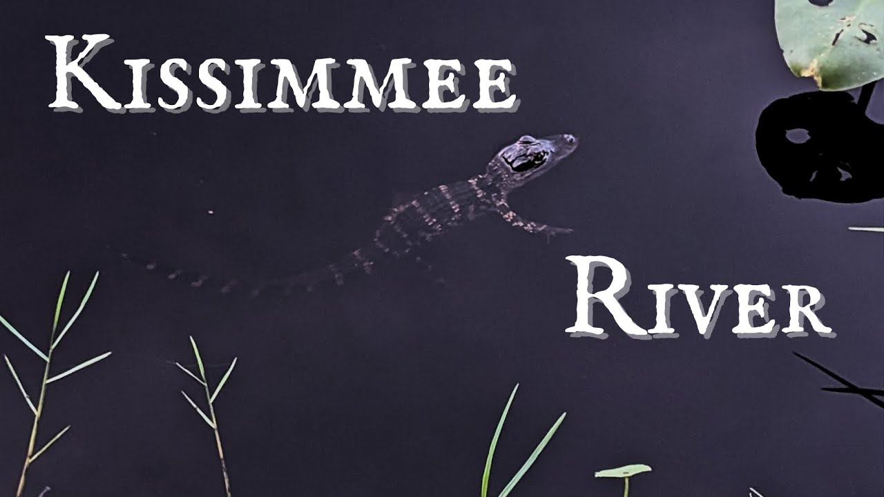 Solo Kayak Camping Kissimmee River