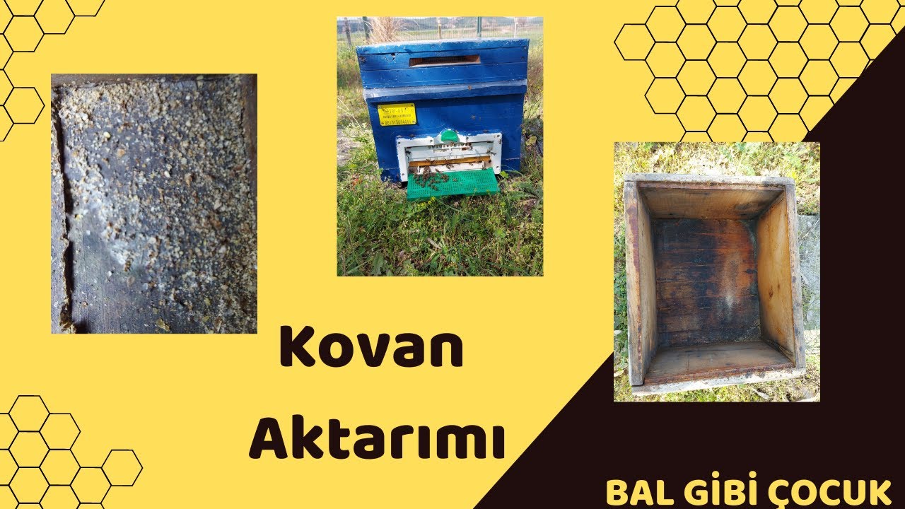 KOVAN AKTARIMI