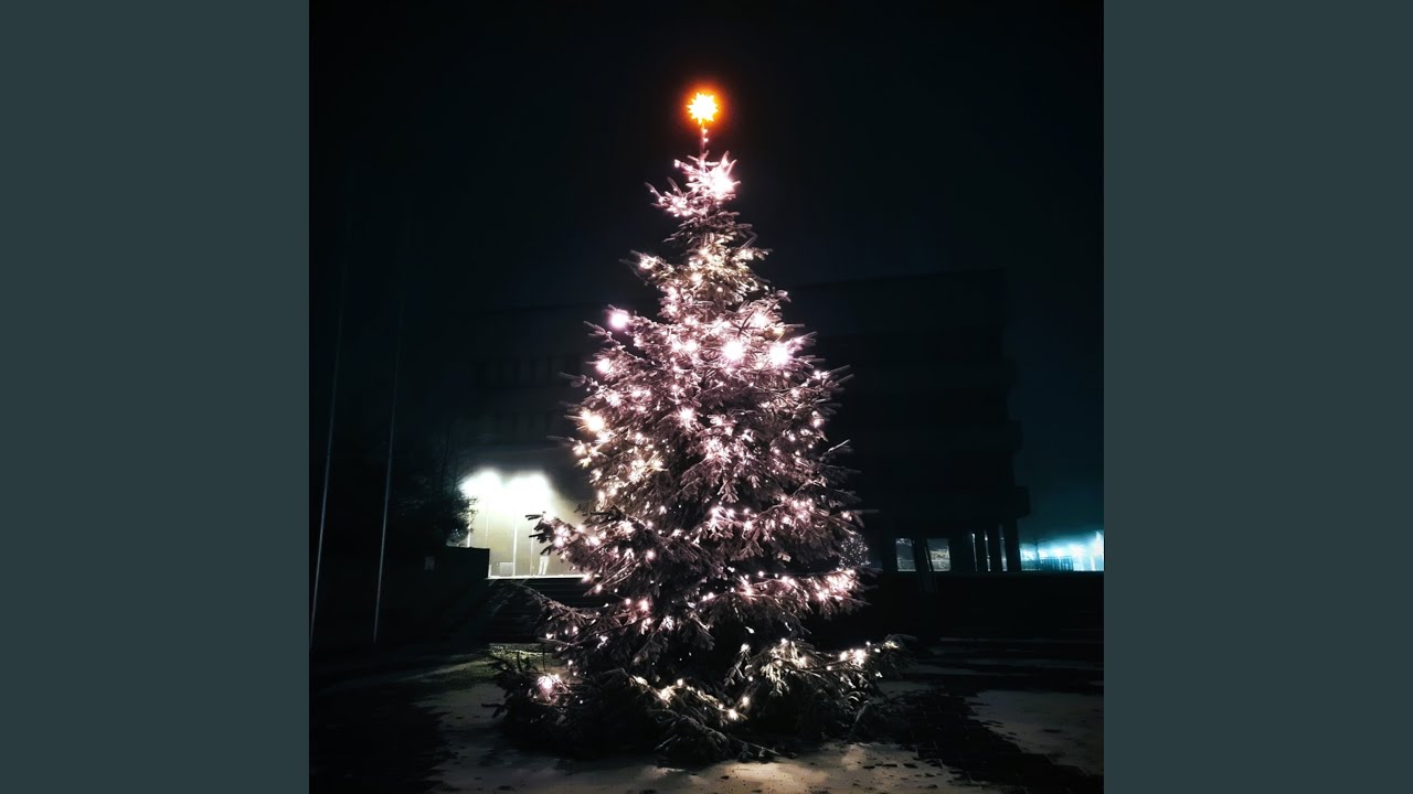 A Lonely Christmas Carol