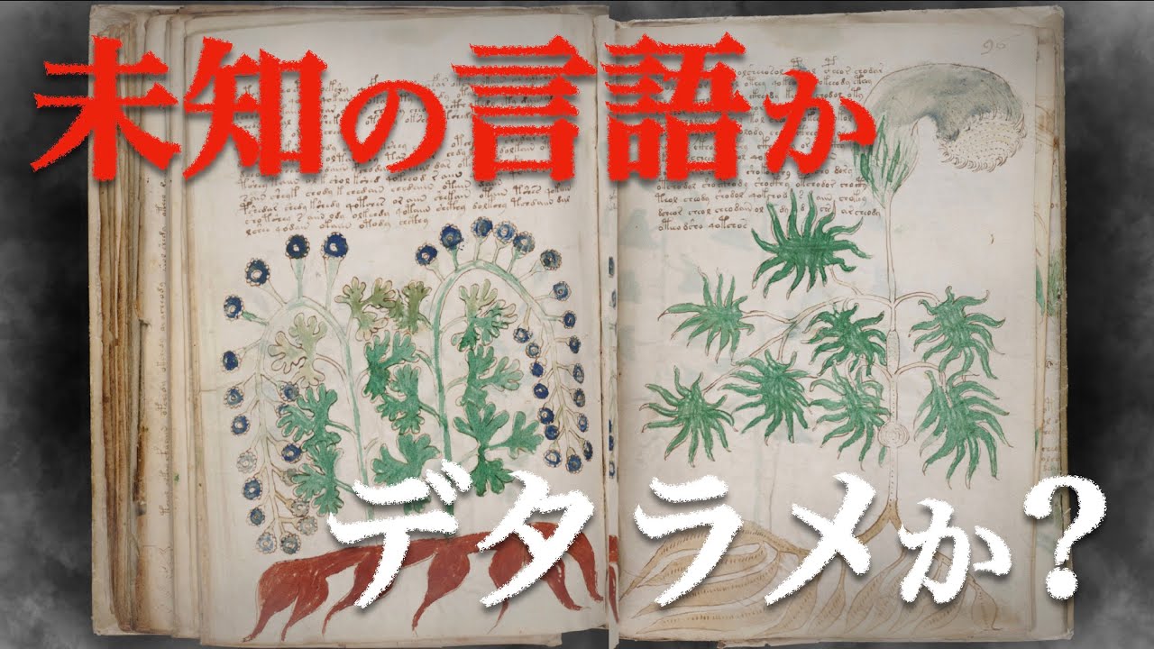 ヴォイニッチ手稿の言語学