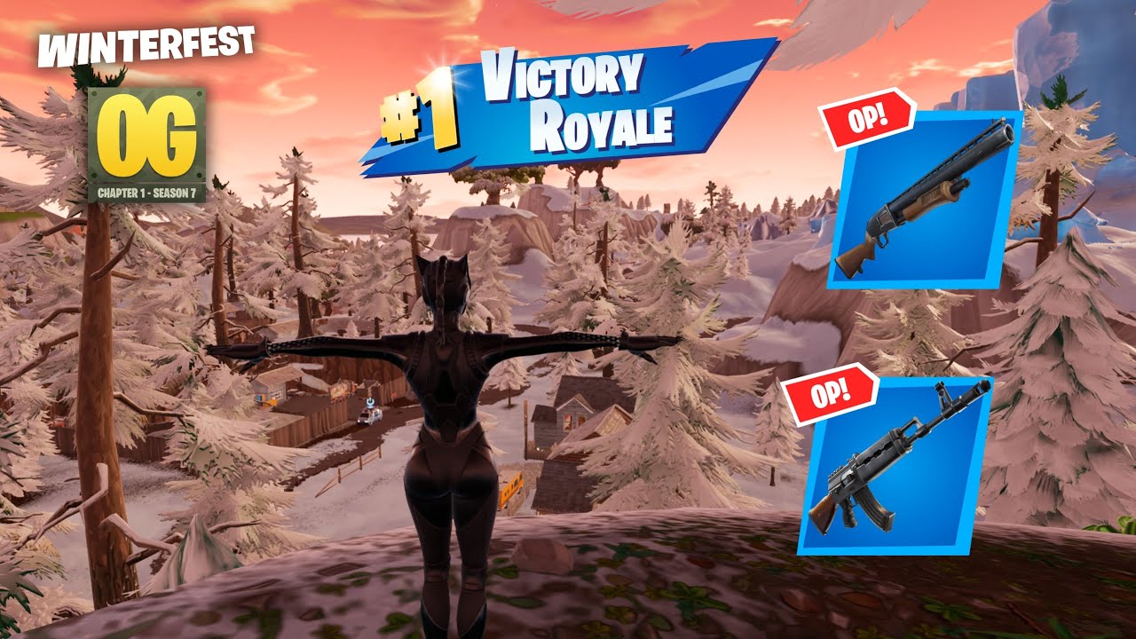 22 Kill Fortnite Solos 