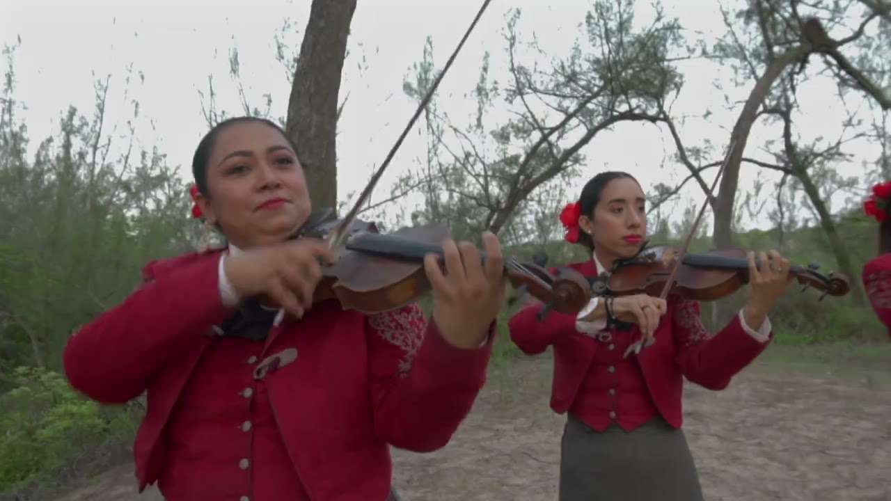 CUANDO ALLA SE PASE LISTA - Mariachi Rey de reyes de Tampico, Tamaulipas