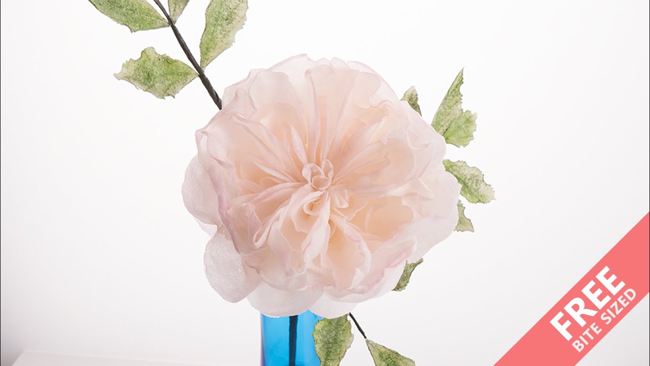 David Austin Rose Sugar Flower | Bite Sized