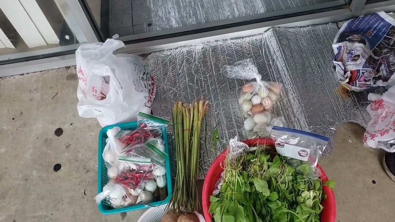 MUA RAU CẢI  ỦNG HỘ CÔ CHÚ LỚN TUỔI Ở NHÀ TRỒNG, BÊN NGOẠI ĐÔNG ĐÁ RẤT LẠNH 