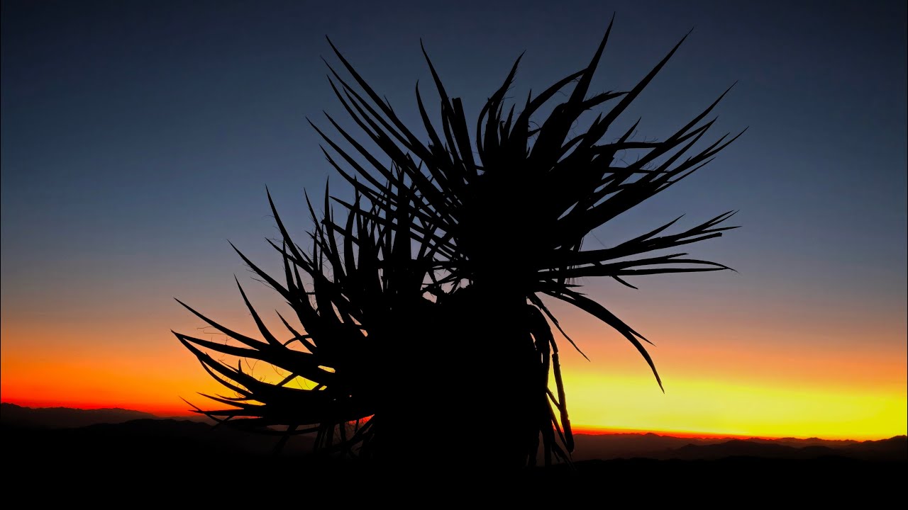 Is hiking Ryan Mountain for sunrise in Joshua Tree National Park worth the effort? (We say yes!)
