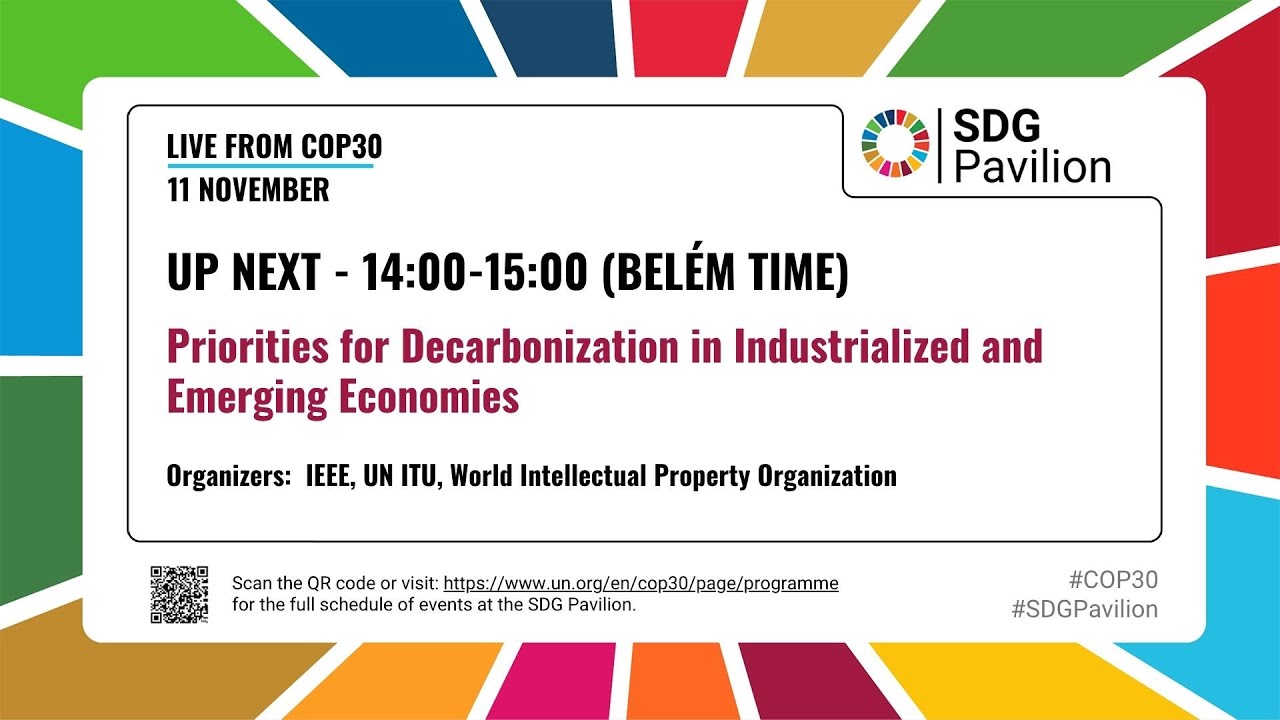 Nov 11 - Priorities for Decarbonization in Industrialized and Emerging Economies