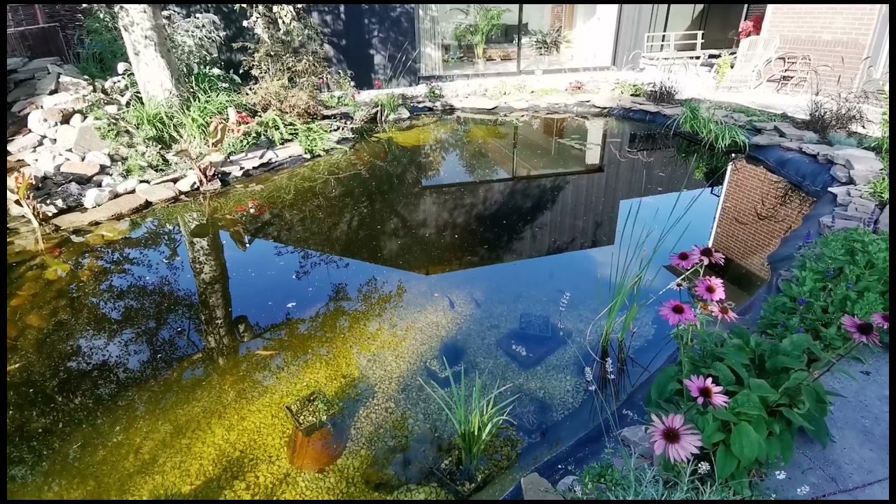 Natuurlijke tuin met grote vijver, veel flora en fauna aangelegd door M. Van Harlingen Tuinen
