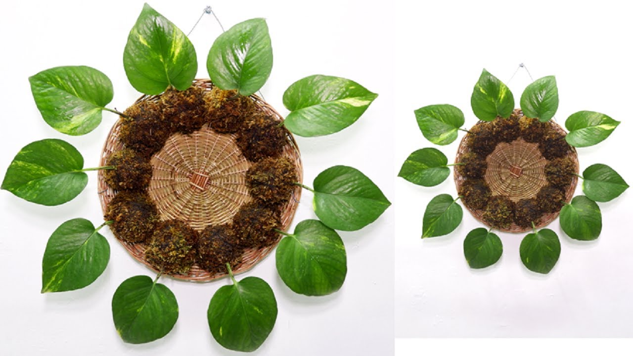 How to Make Wreath Decor Using Single Leaf Money Plant or Pothos in Kokedama Balls at Home