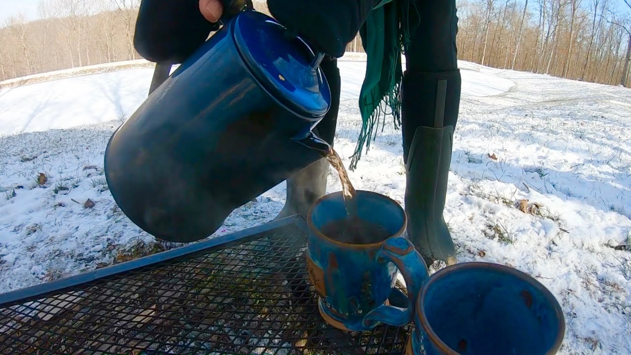 Sassafras Tea: How to Identify and Brew
