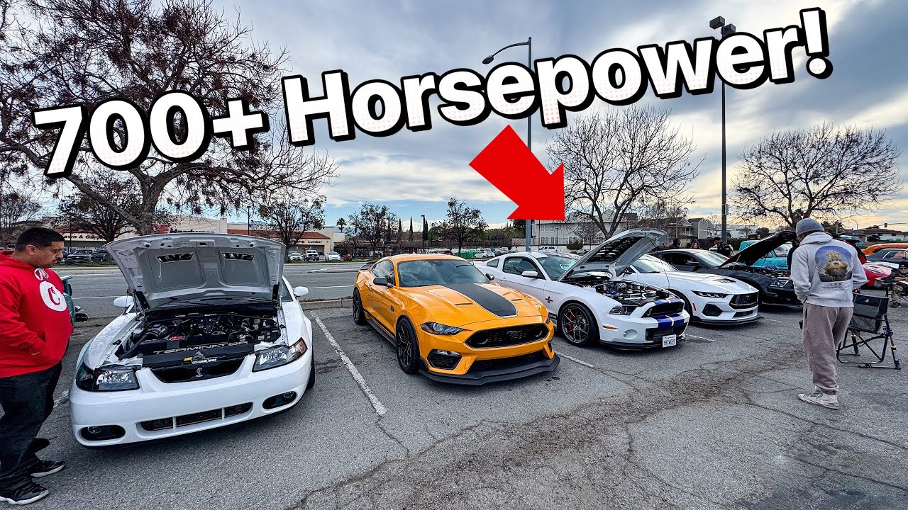 Pulled up on some GT500s in my Mach 1
