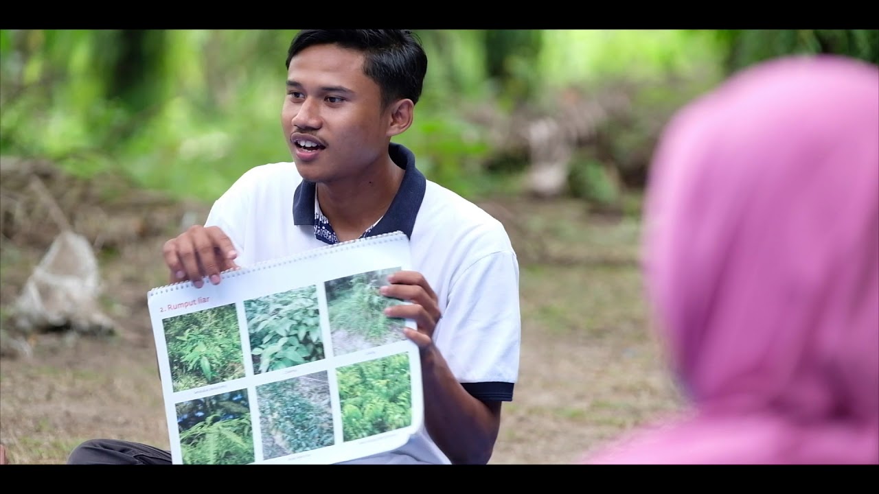 Introduction to Musim Mas Smallholders Programmes