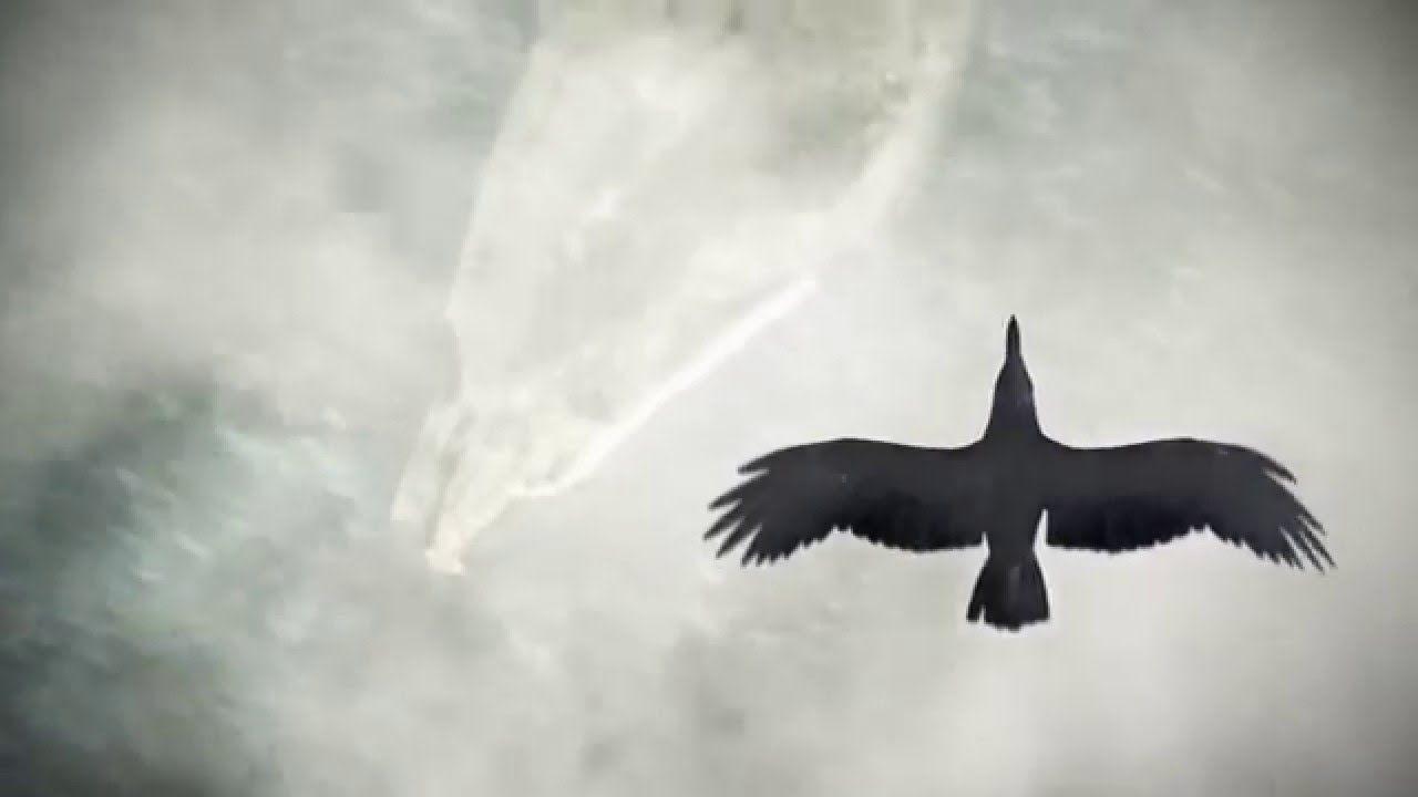 Sonne Hagal - Odin