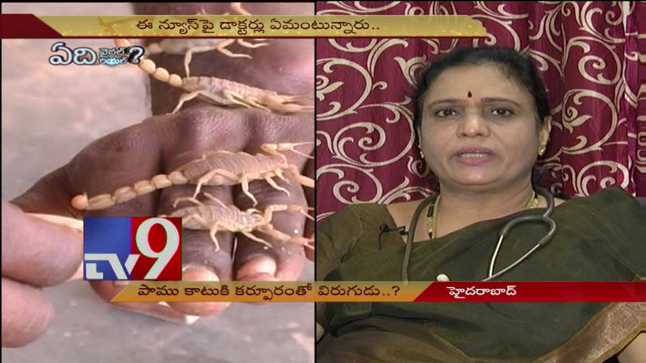Camphor works as anti-venom for snakebite? || TV9