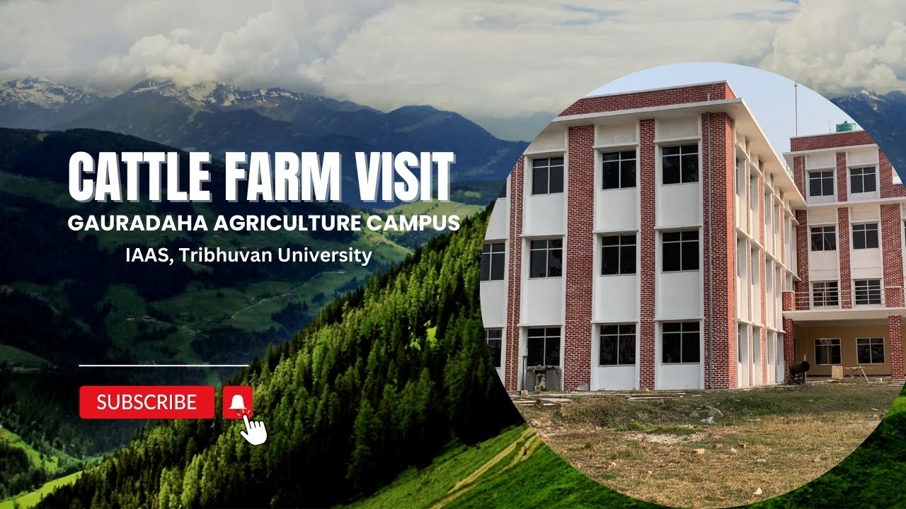 Dairy Farm Visit || Gauradaha Agriculture Campus || Feat. Asst. Prof. Nirmal Katuwal || Boby Basnet