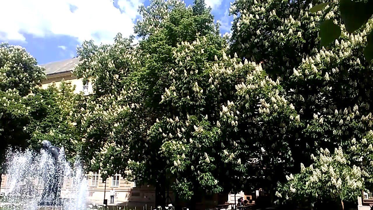 Plzen Pilsen  Плзень Пльзень Ceska republika Bohemia