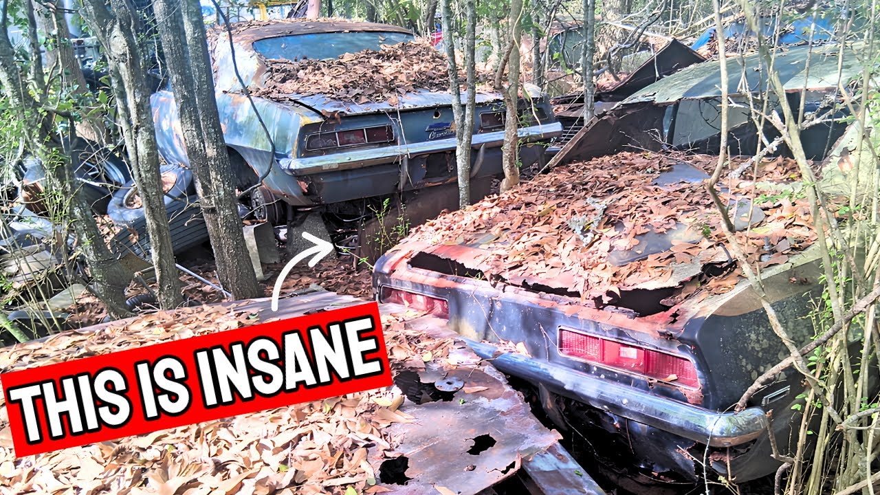 I Found 30+ Abandoned Camaros in the Woods