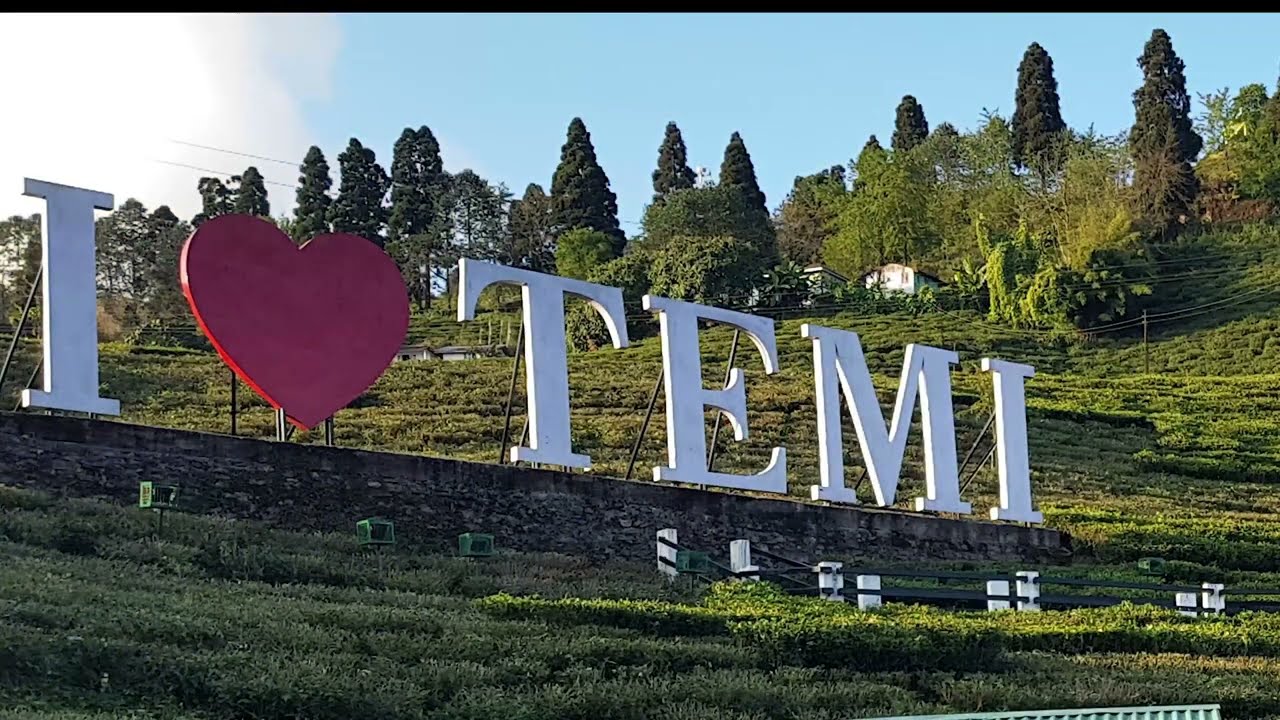 Temi Tea Garden | Heritage Bungalow Guest House | World most beautiful Tea Garden | Kanchenjunga