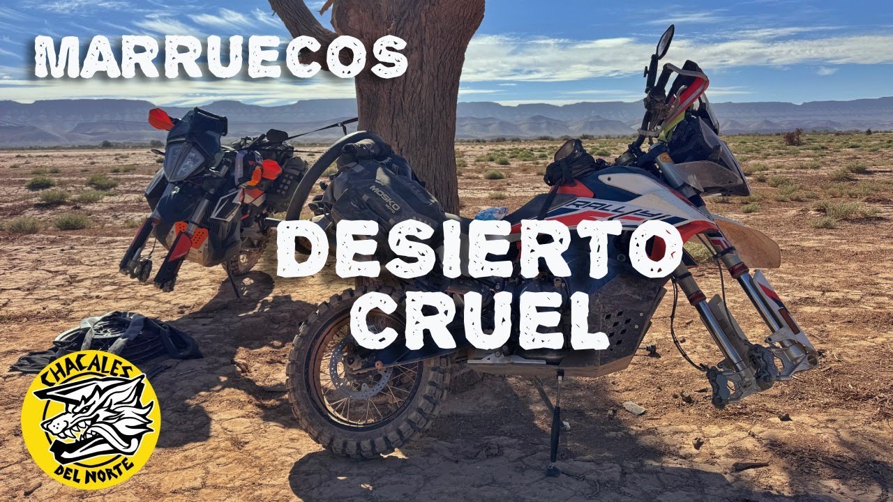 EL DESIERTO NOS PONE A PRUEBA. Marruecos Chacales 2