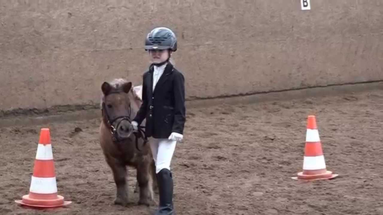 Malu (6) und Veni - Reitabzeichen 7 - Bodenarbeit am 07.11.2015