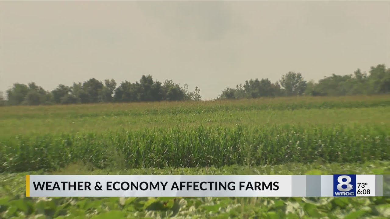 Farmers continue to face problems head-on in New York