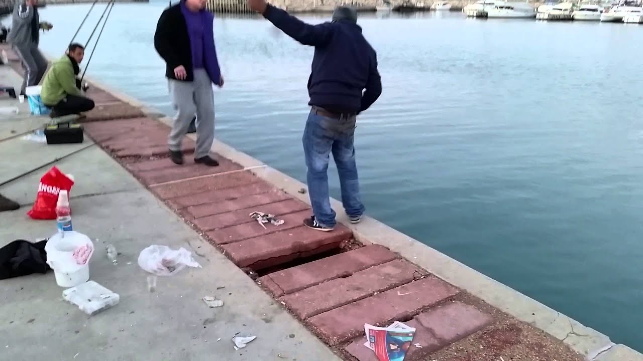 כלובי הדגים נפרצו והדייגים חגגו במרינה באשדוד