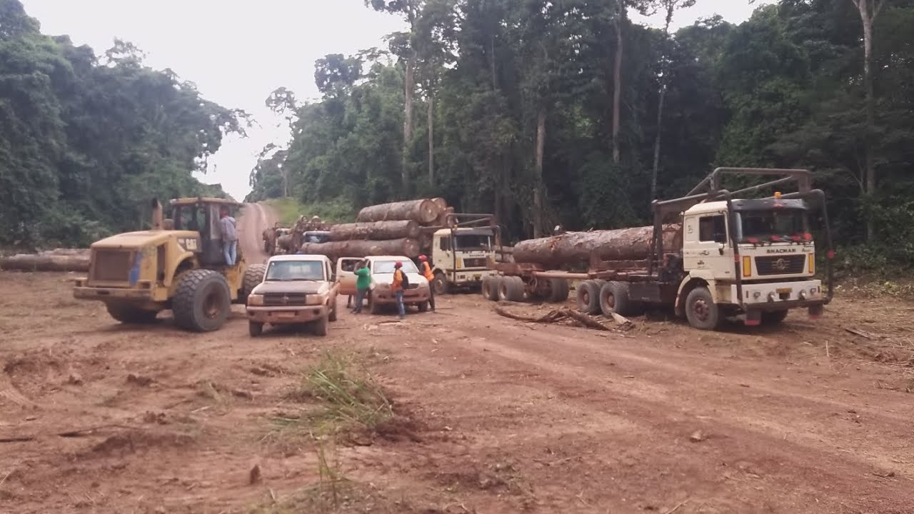 PERMASALAHAN DI ALAT BERAT//sampai antri logging afrika gabon..🇬🇦🇬🇦🇬🇦