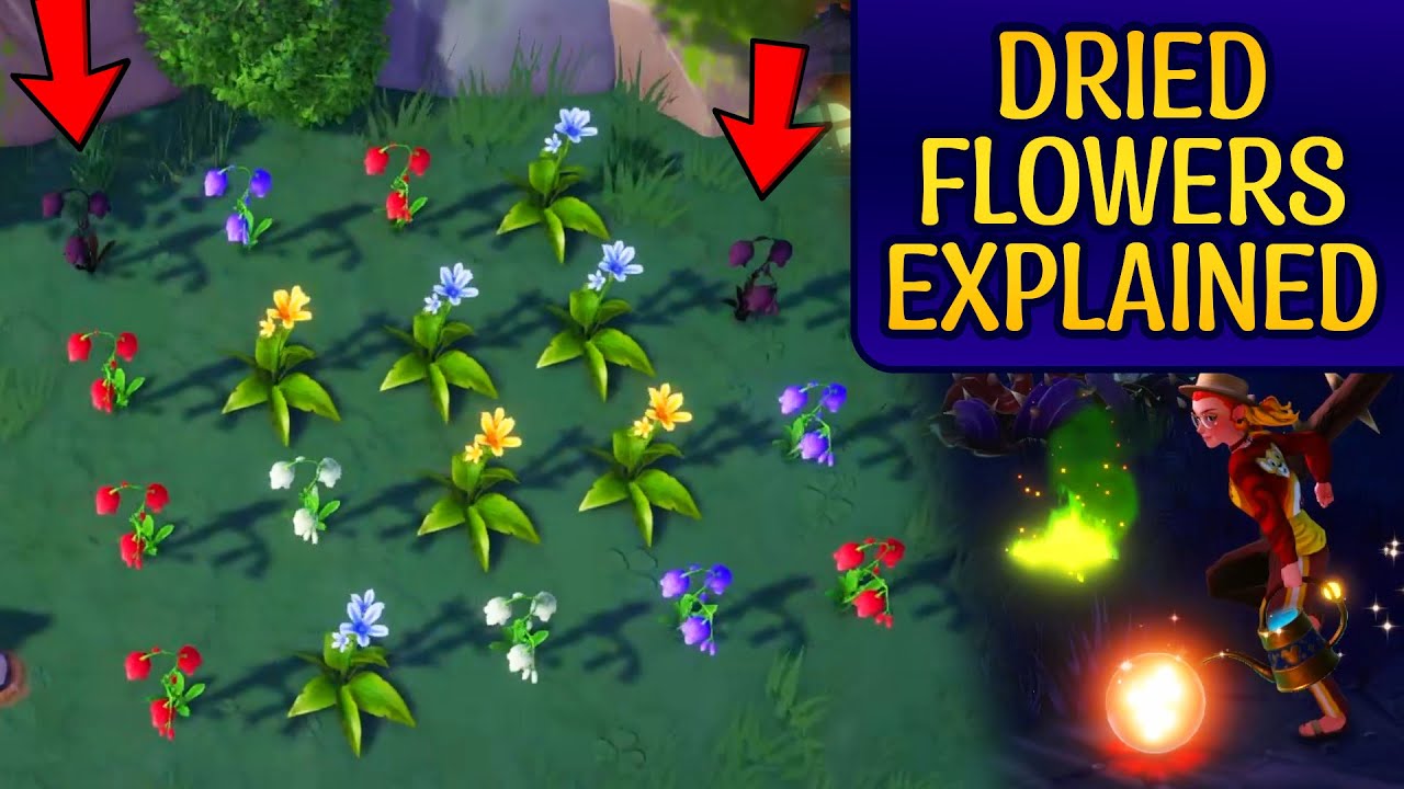 DISNEY Dreamlight Valley. How to Farm Memories from Dried Flowers. How Dried Flowers Work?