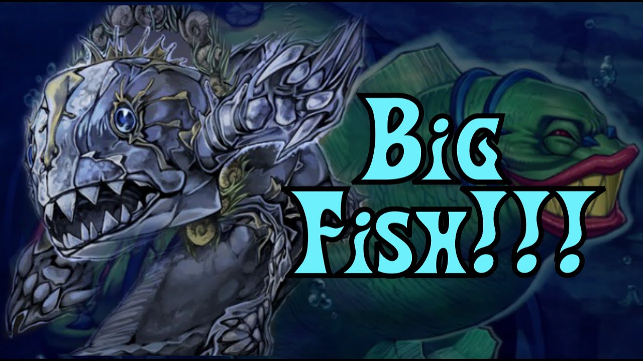 YUGIOH! CRAZY COELACANTH BIG FISH DECK PROFILE!!! (2021 POST BLVO)