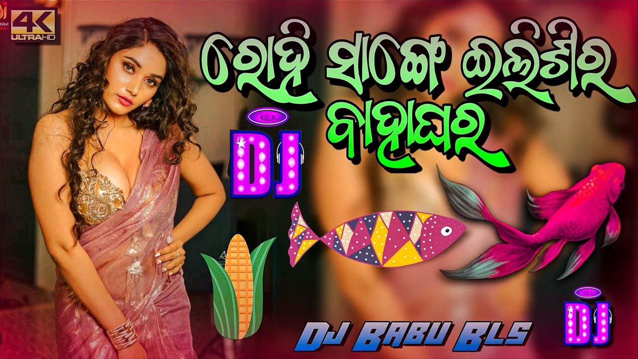 Rohi Sange Ilisira Bahaghara Odia Song Dj | Odia Dj Song | Dj Babu Bls
