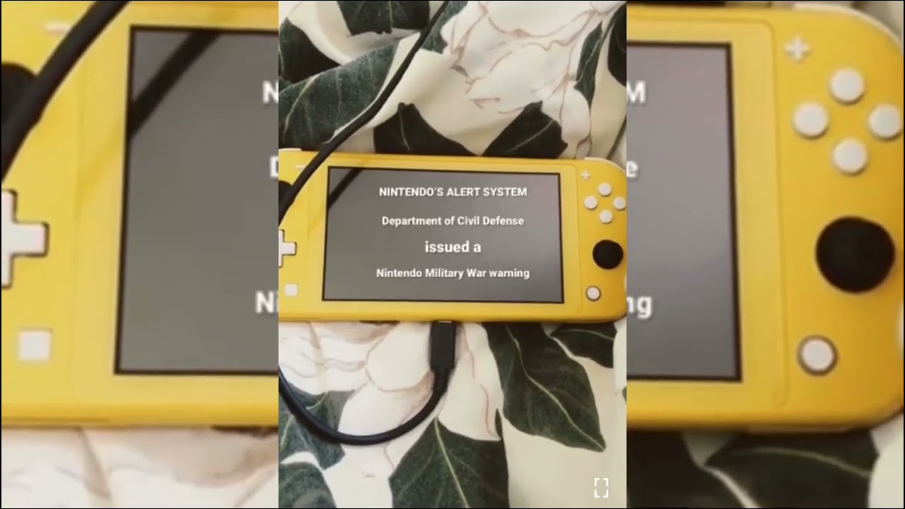 Nintendo Switch&rsquo;s Emergency Alert System.