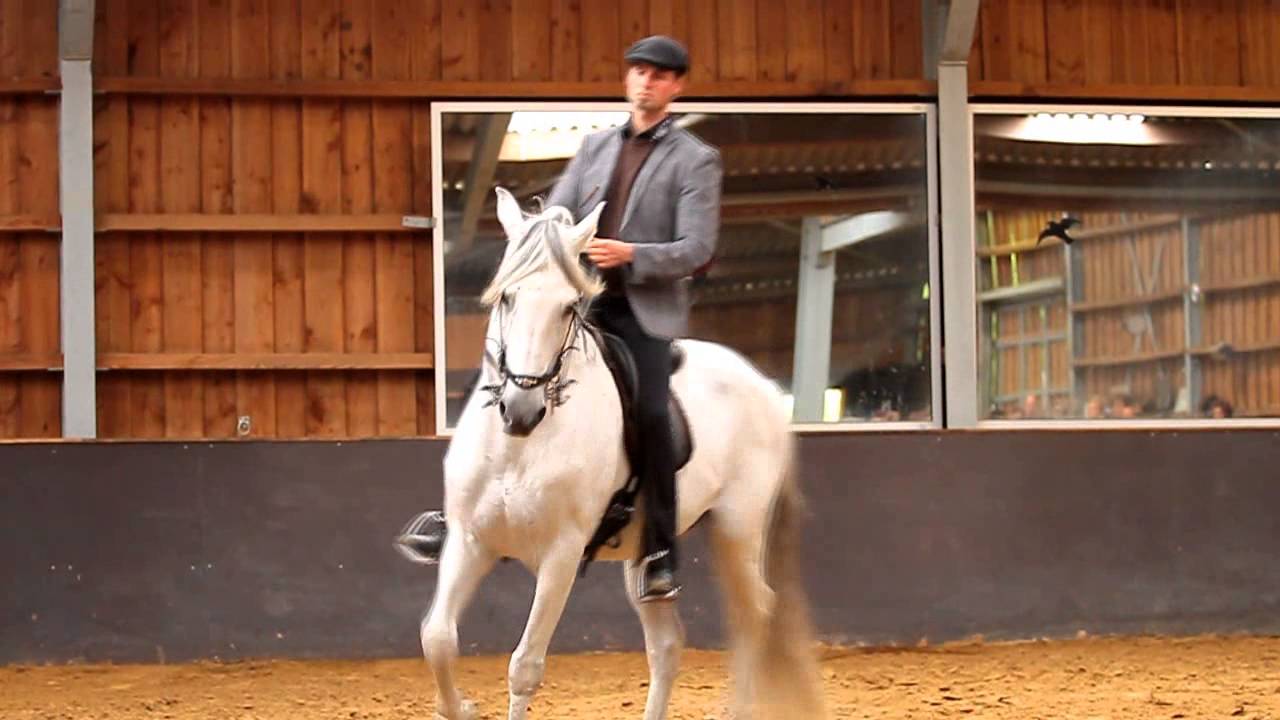 Marius Schneider, demonstration 'Stal de Maesberg' Arnhem